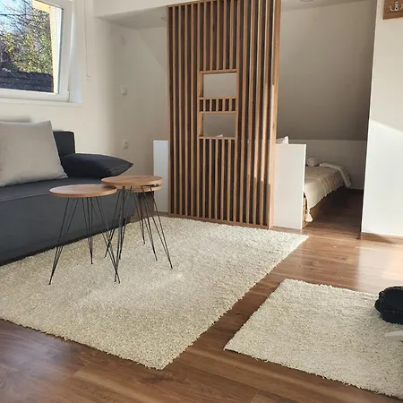 Vrh Apartment Crni Vrh