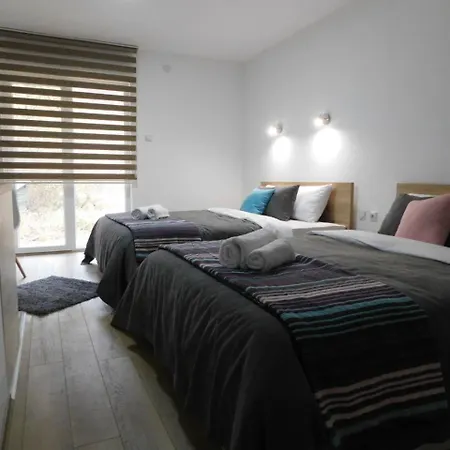 Apartment Vrh *