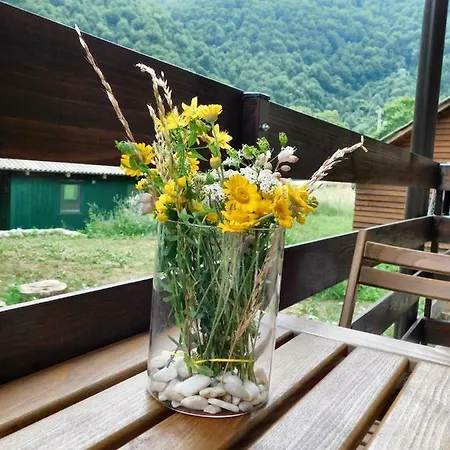 Apartment Vrh *
